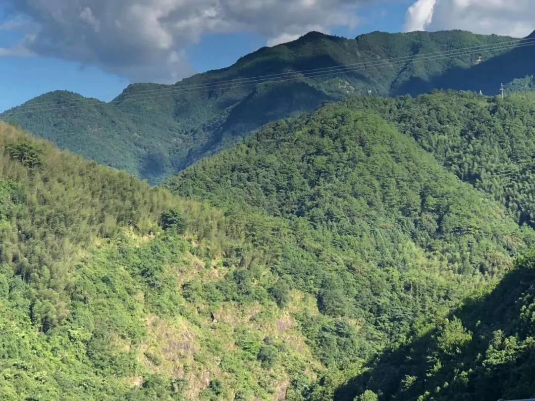 微信图片_20200710092955.jpg 微信图片_20200710092955.jpg